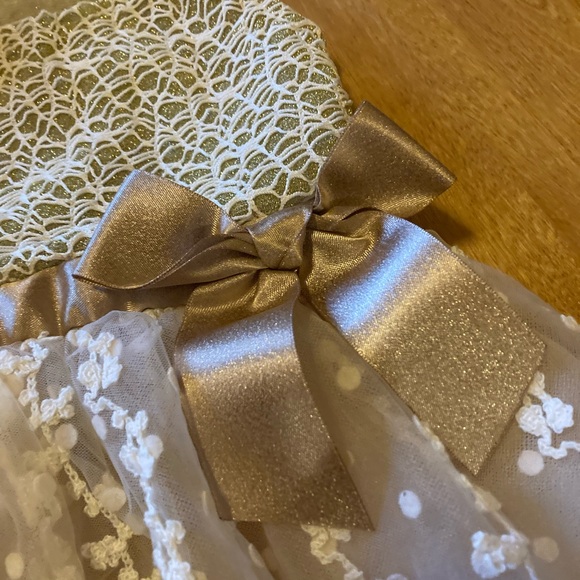 Fitwarm gold fancy dog dress - Picture 2 of 9